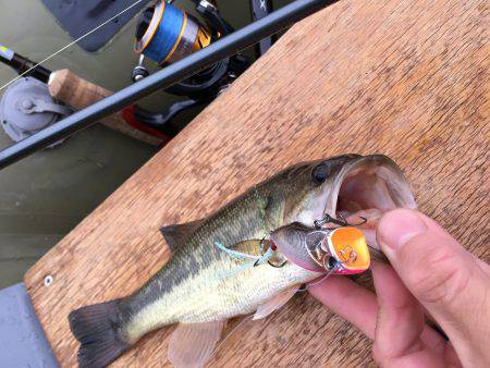 一庫 ボート釣行