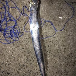 台風後台風前の釣り