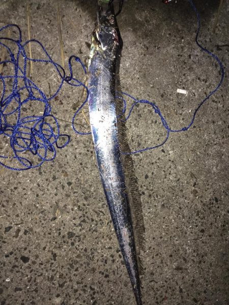 台風後台風前の釣り