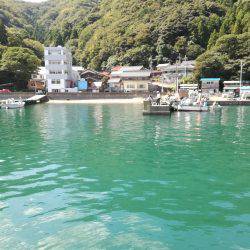 サヨリ来ず五目釣り