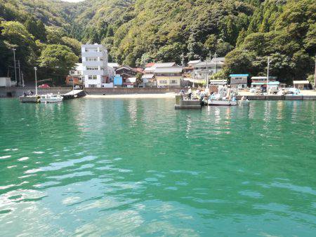 サヨリ来ず五目釣り