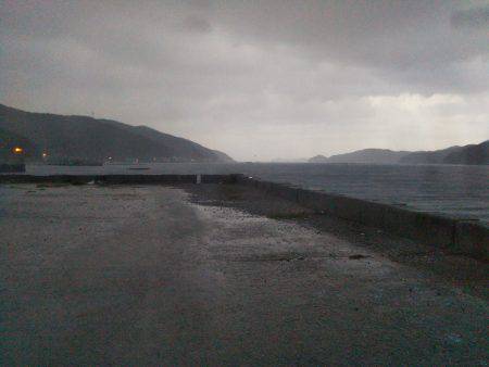 阿南市の椿泊でタチウオ