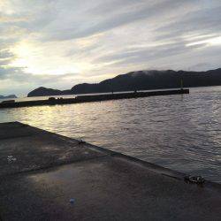 阿南市の椿泊でタチウオ