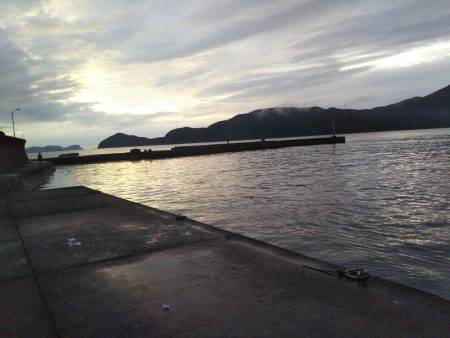 阿南市の椿泊でタチウオ