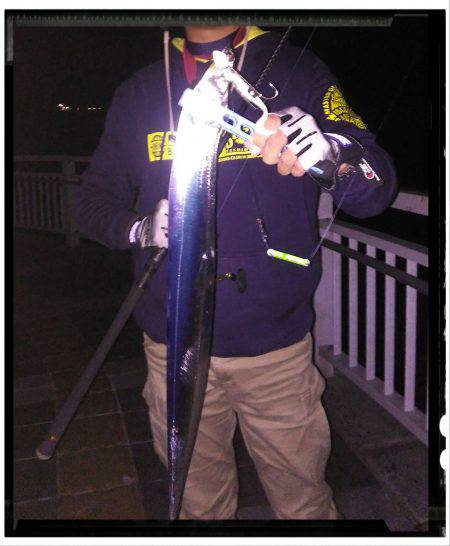 マリーナシティ大波止釣行