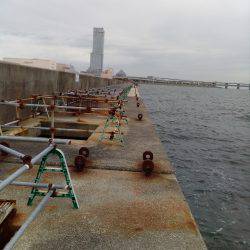 荒天でもタコが釣れる、この場所最高！