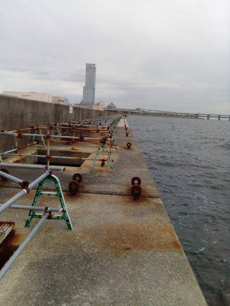 荒天でもタコが釣れる、この場所最高！