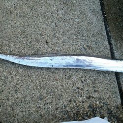 落とし込みでキビレ37cm