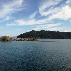 ウマヅラカワハギング