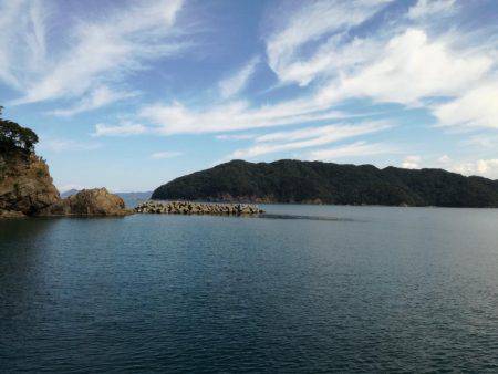 ウマヅラカワハギング