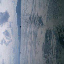 秋パターン調査