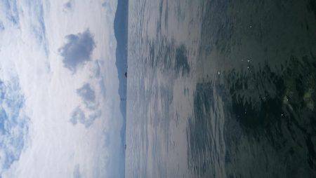 秋パターン調査