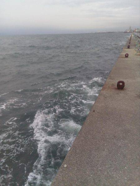 二回目の出陣、アオリイカ釣れました。