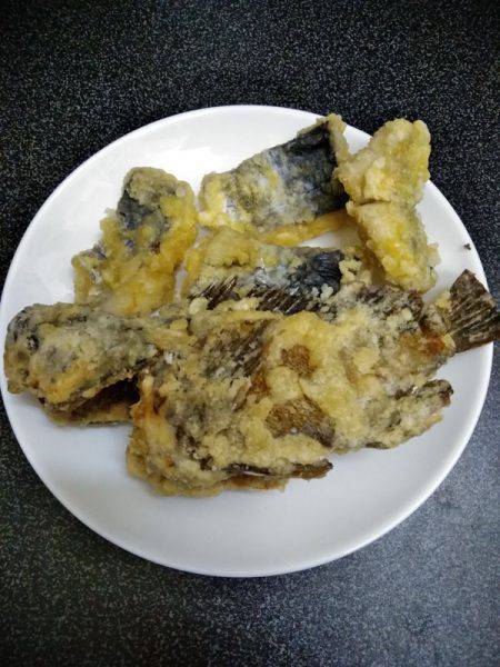 釣りにおいてのモラル、マナーについて。