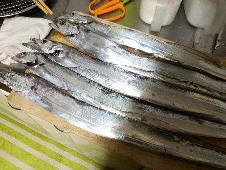 短時間釣行