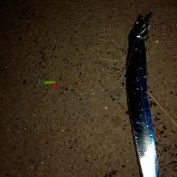 タチウオまずまず・・・