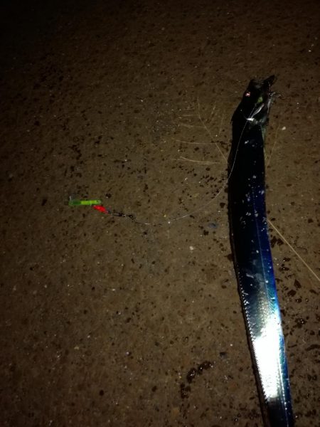 タチウオまずまず・・・