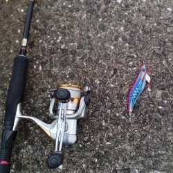 本命はゼロ、外道は釣れました。