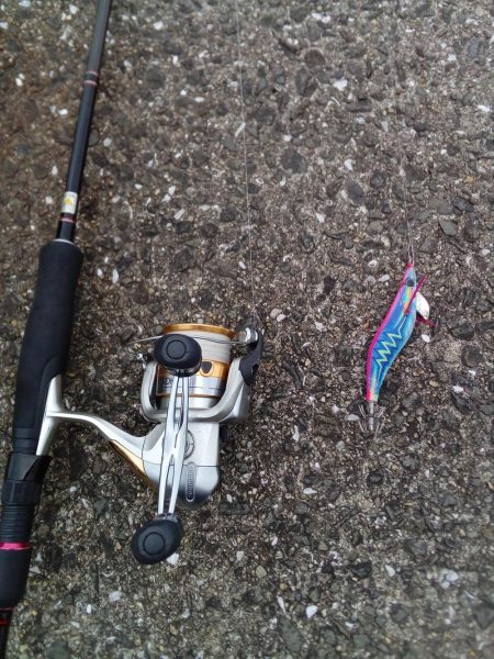 本命はゼロ、外道は釣れました。