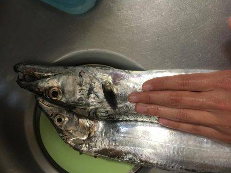 ドラゴンサイズ