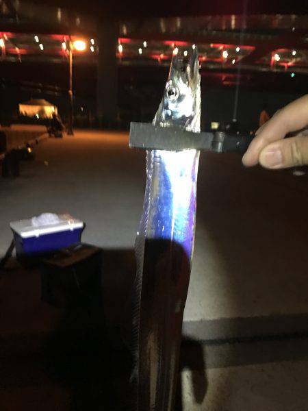 ゲキ渋 ワインドアンドエギング