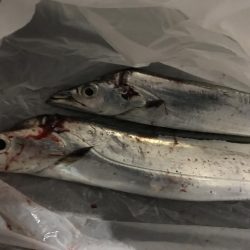 まぁまぁのサイズ