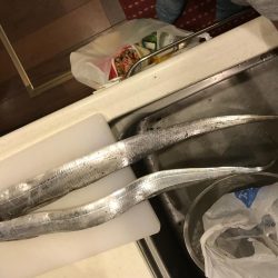 シーサイドコスモでワインド