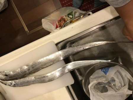 シーサイドコスモでワインド