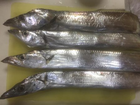 タチウオしゃぶしゃぶ〜！！！