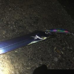 台風前の突撃！