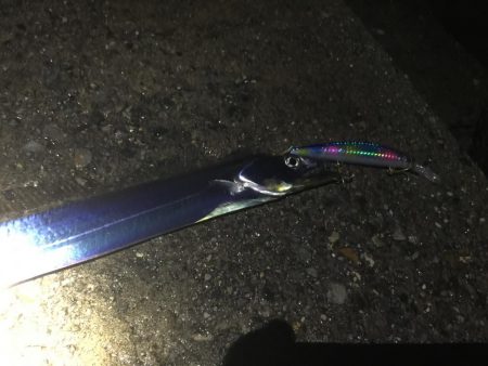 台風前の突撃！