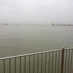 台風後の釣果