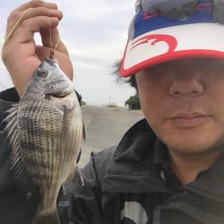 城南島で魚釣り。