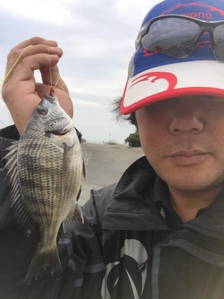 城南島で魚釣り。