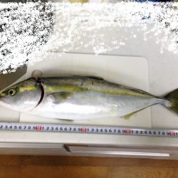 フックは大事!!!