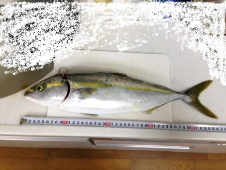 フックは大事!!!