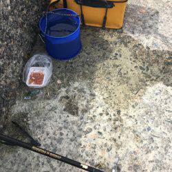 浮きフカセ釣り