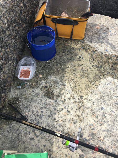 浮きフカセ釣り