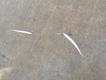 小太刀ですが……