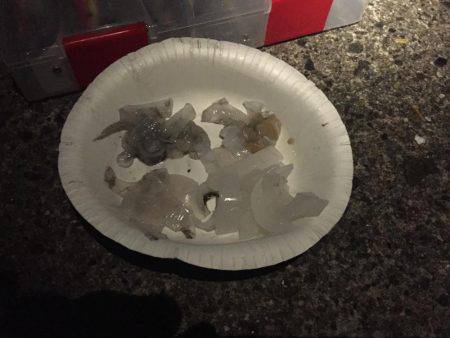 当たりは有るのに