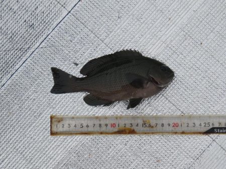 防寒装備を忘れずに