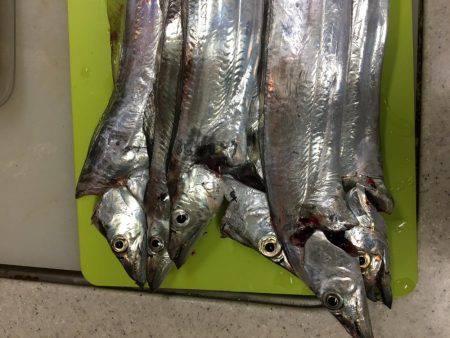 武庫一  ちょっと残念