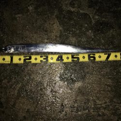 場所ムラ激しい