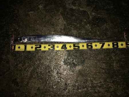 場所ムラ激しい