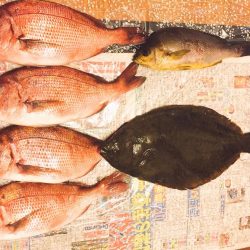 青モノ目指して