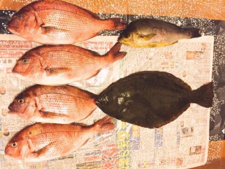 青モノ目指して