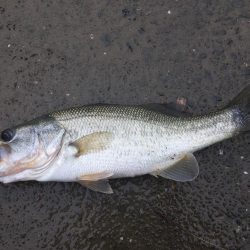 桜池はトレーニングに最適⁉︎