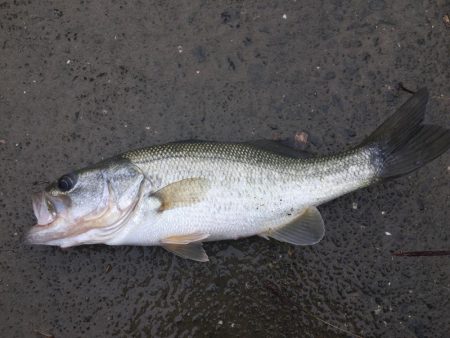 桜池はトレーニングに最適⁉︎