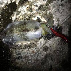 西流れが難しい