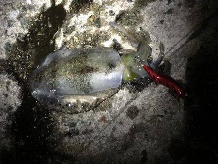 西流れが難しい